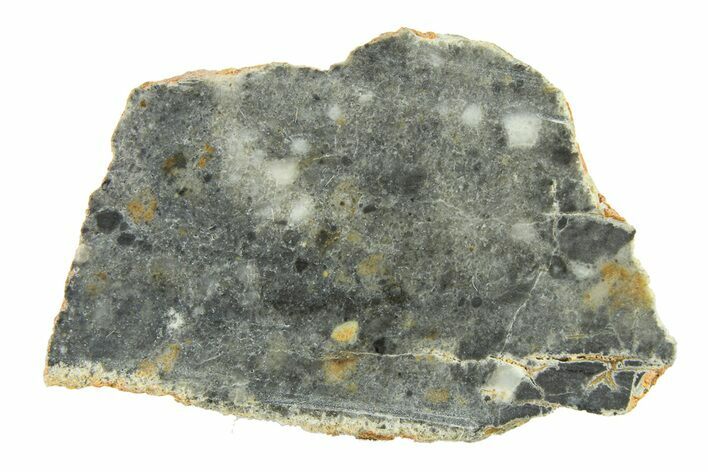 Lunar Meteorite ( g) Slice - Bechar #291668